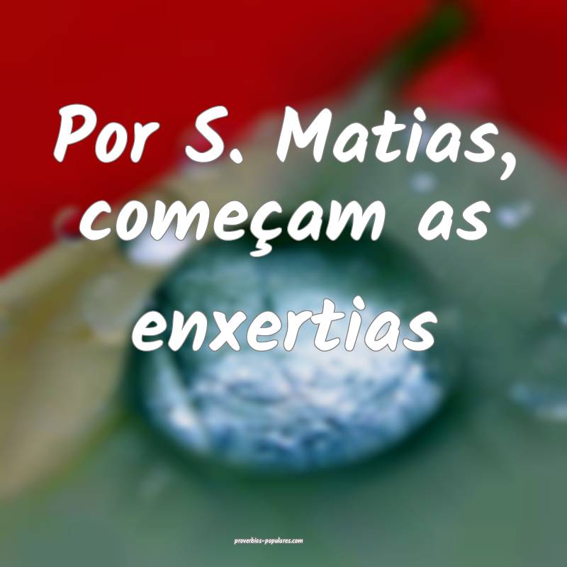 Por S. Matias, começam as enxertias ...