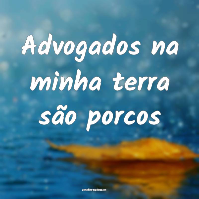 Advogados na minha terra são porcos...