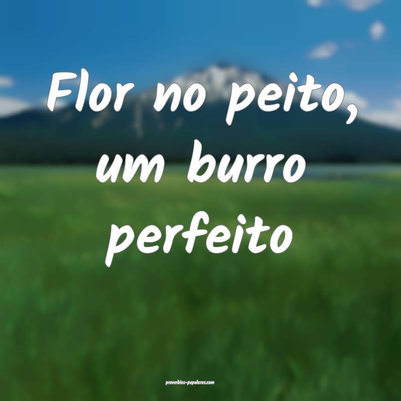 Flor no peito, um burro perfeito ...