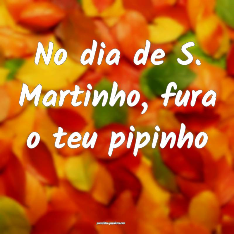 No dia de S. Martinho, fura o teu pipinho...