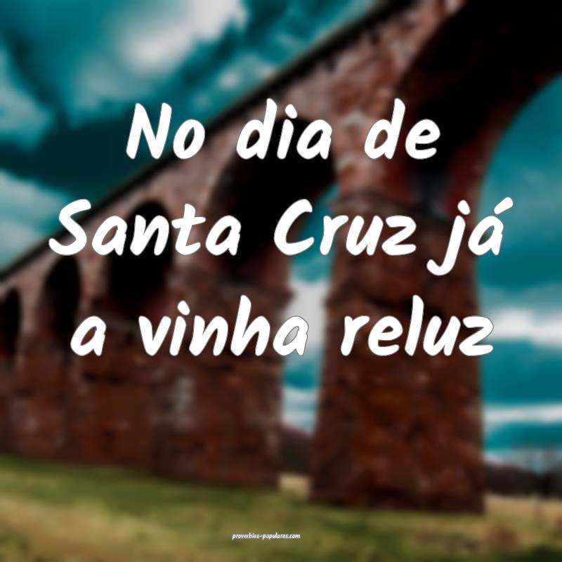 No dia de Santa Cruz já a vinha reluz...