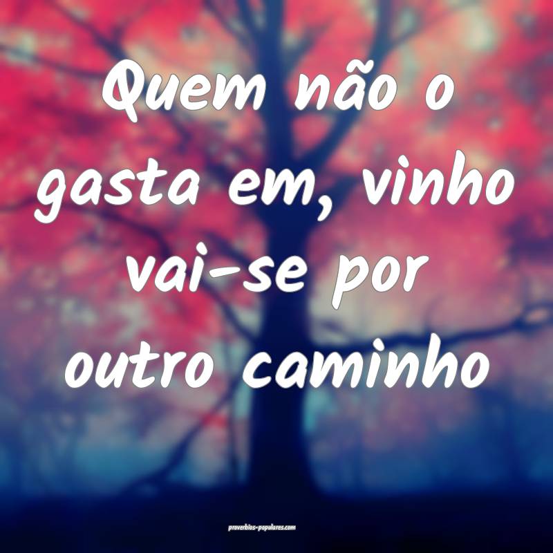 Quem não o gasta em, vinho vai-se por outro caminho...
