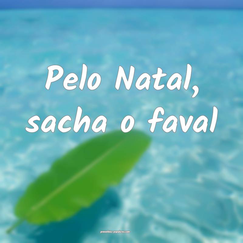 Pelo Natal, sacha o faval...
