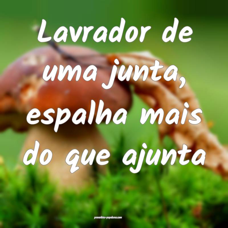 Lavrador de uma junta, espalha mais do que ajunta...