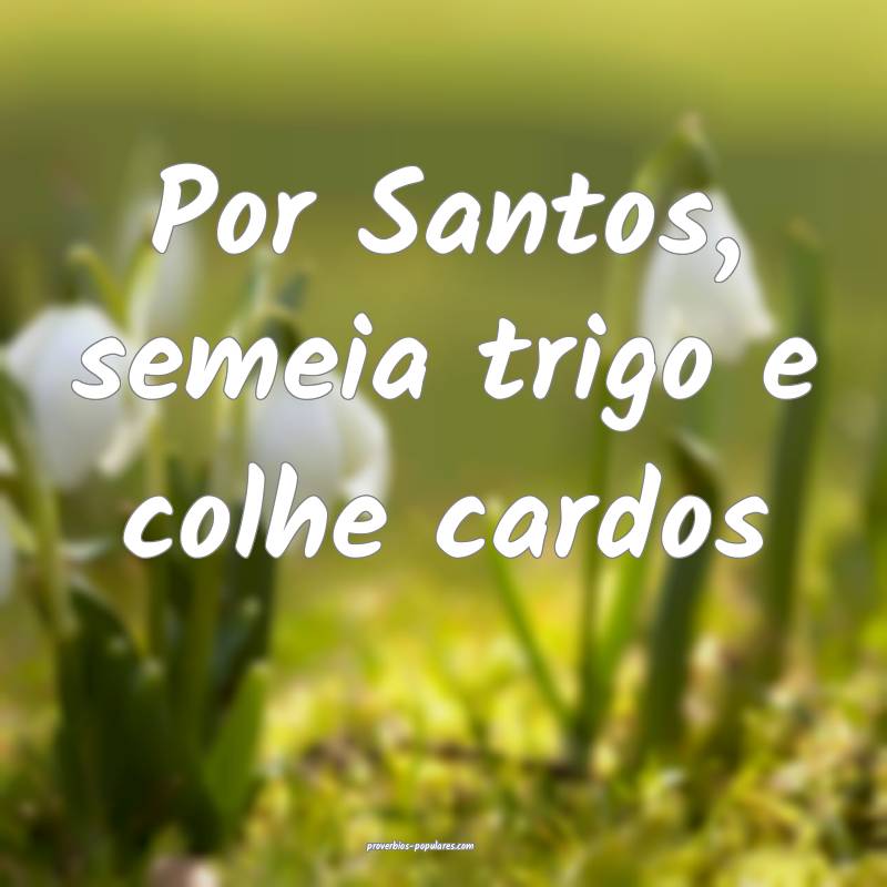 Por Santos, semeia trigo e colhe cardos...