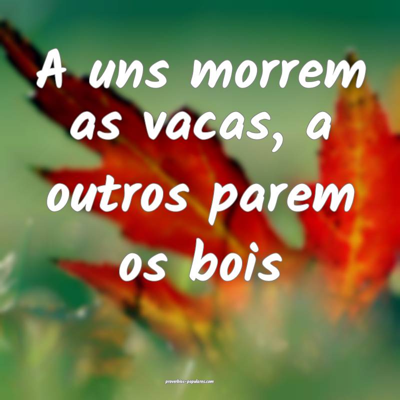 A uns morrem as vacas, a outros parem os bois 
 ...