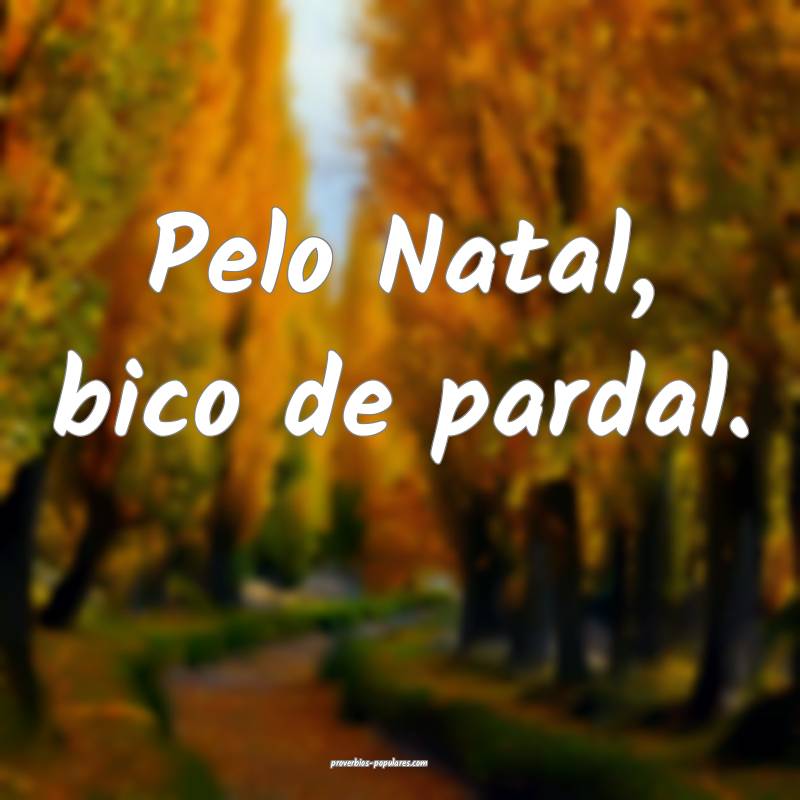 Pelo Natal, bico de pardal....