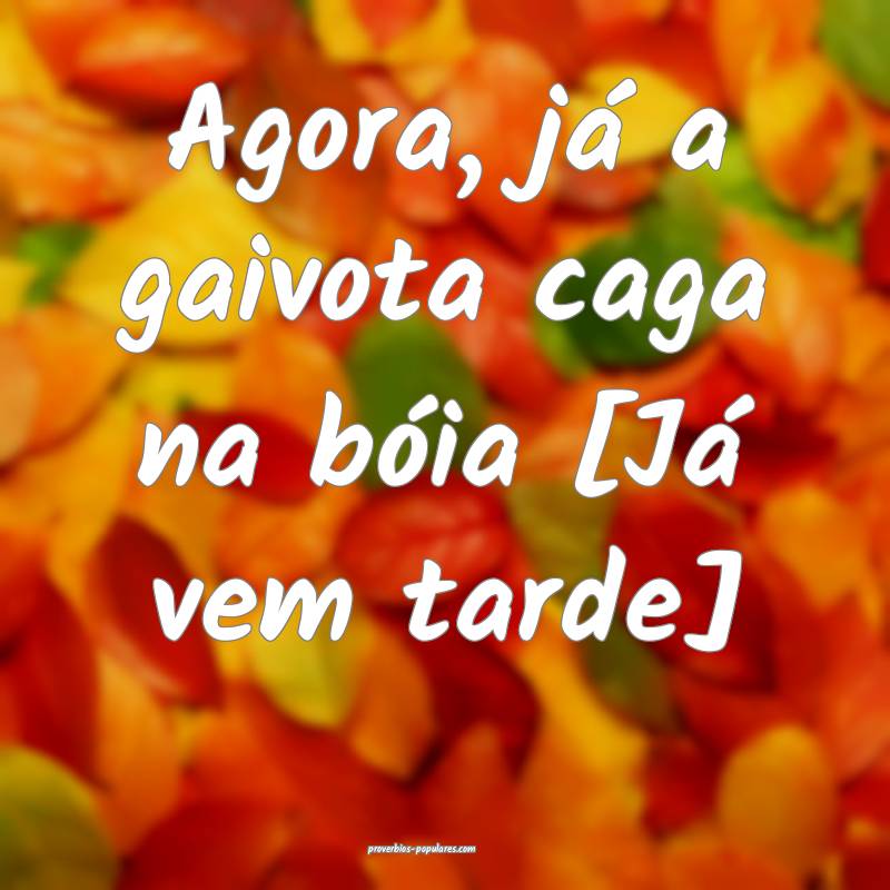 Agora, já a gaivota caga na bóia [Já vem tarde] ...