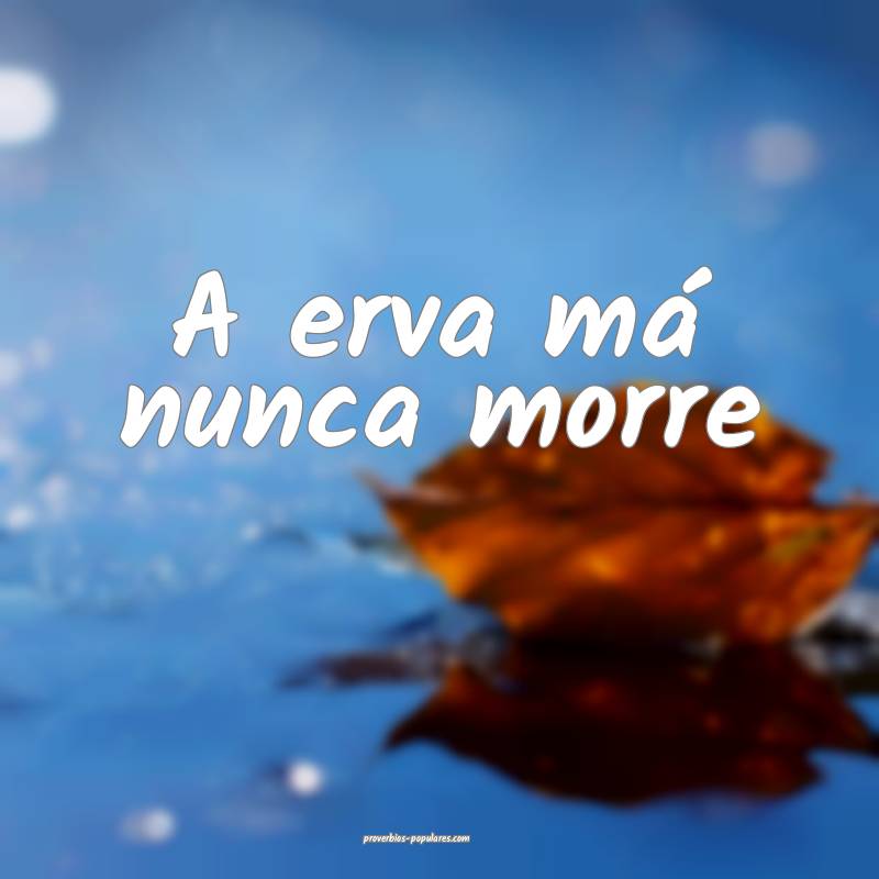 A erva má nunca morre ...