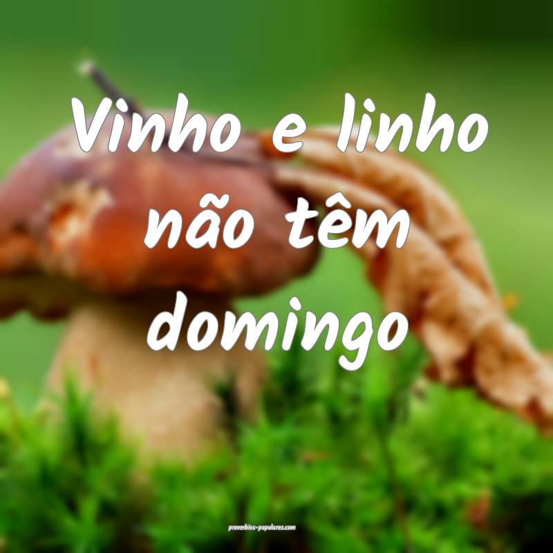 Vinho e linho não têm domingo...