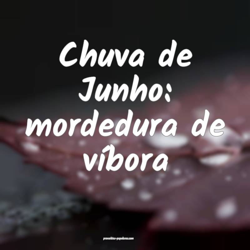 Chuva de Junho: mordedura de víbora ...