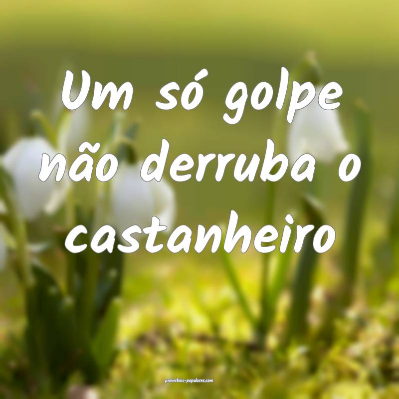 Um só golpe não derruba o castanheiro...