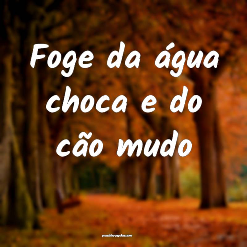 Foge da água choca e do cão mudo ...