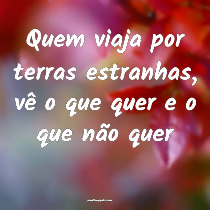 Quem viaja por terras estranhas, vê o que quer e  ...