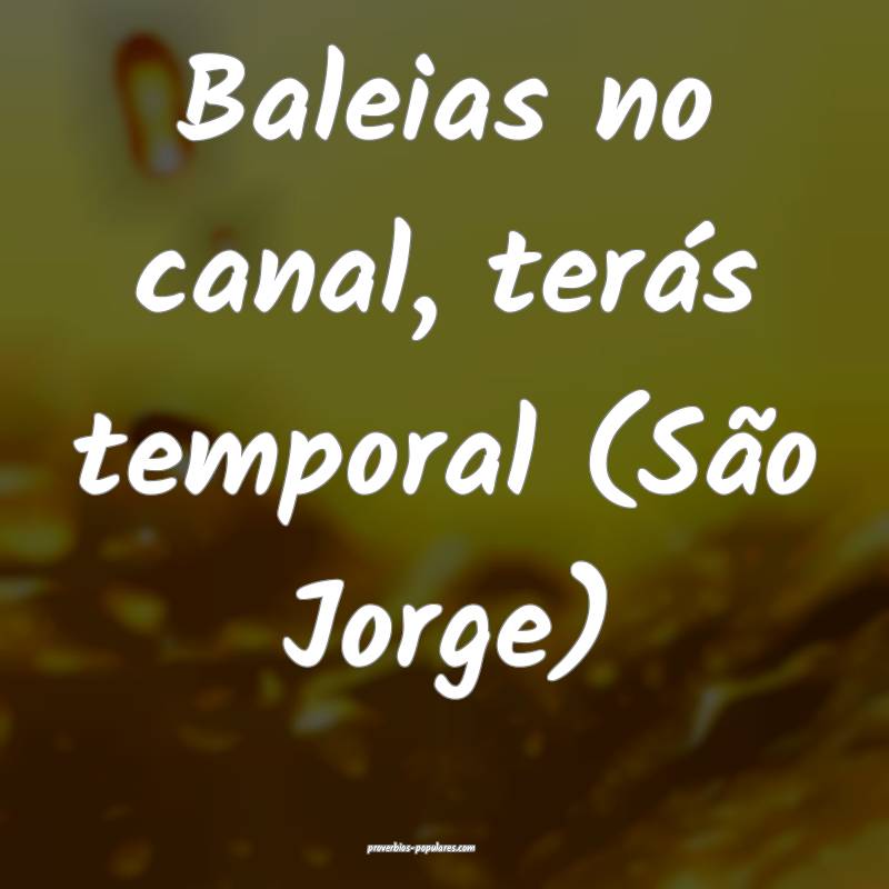 Baleias no canal, terás temporal (São Jorge) 
...