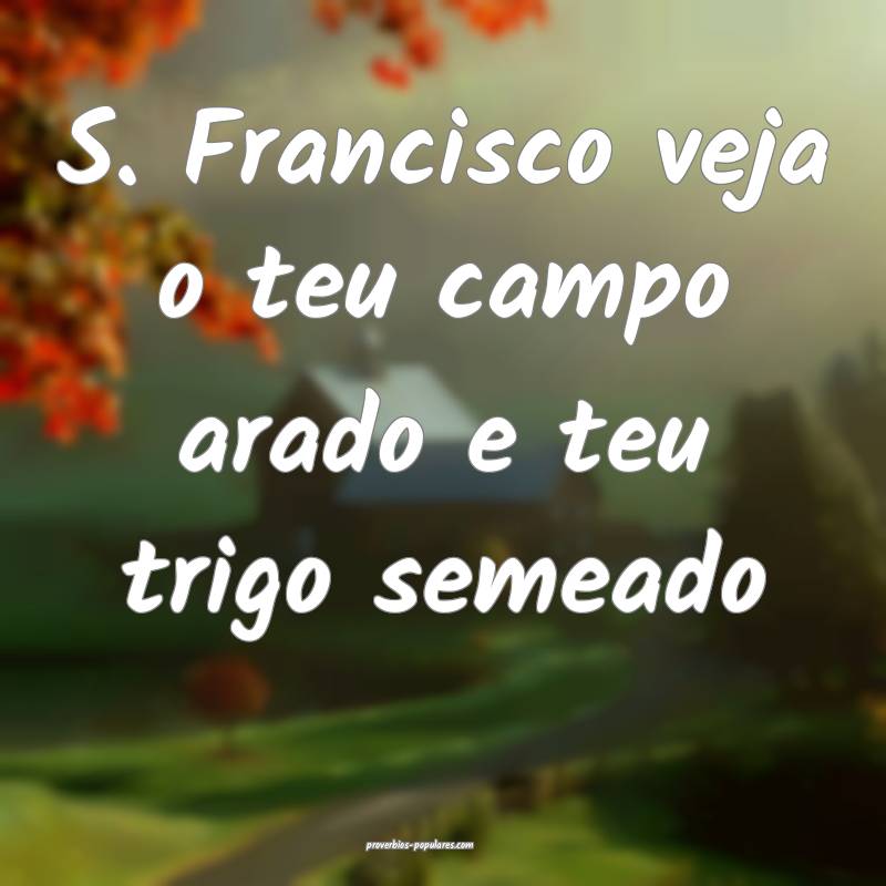 S. Francisco veja o teu campo arado e teu trigo semeado...