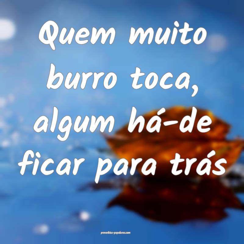 Quem muito burro toca, algum há-de ficar para trás...