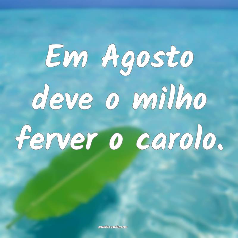 Em Agosto deve o milho ferver o carolo. ...