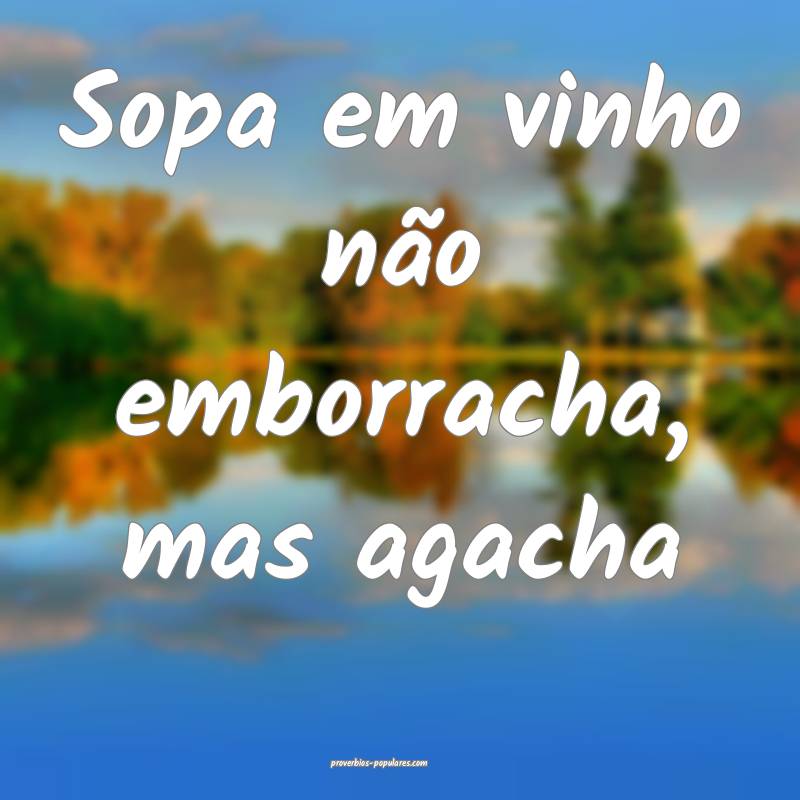 Sopa em vinho não emborracha, mas agacha...