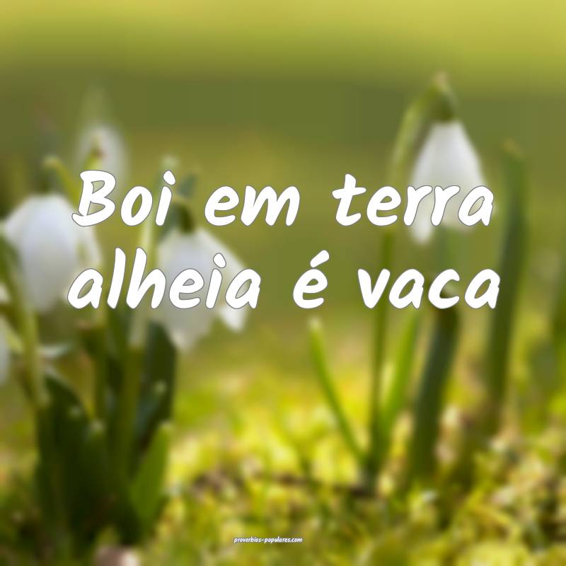 Boi em terra alheia é vaca 
 ...