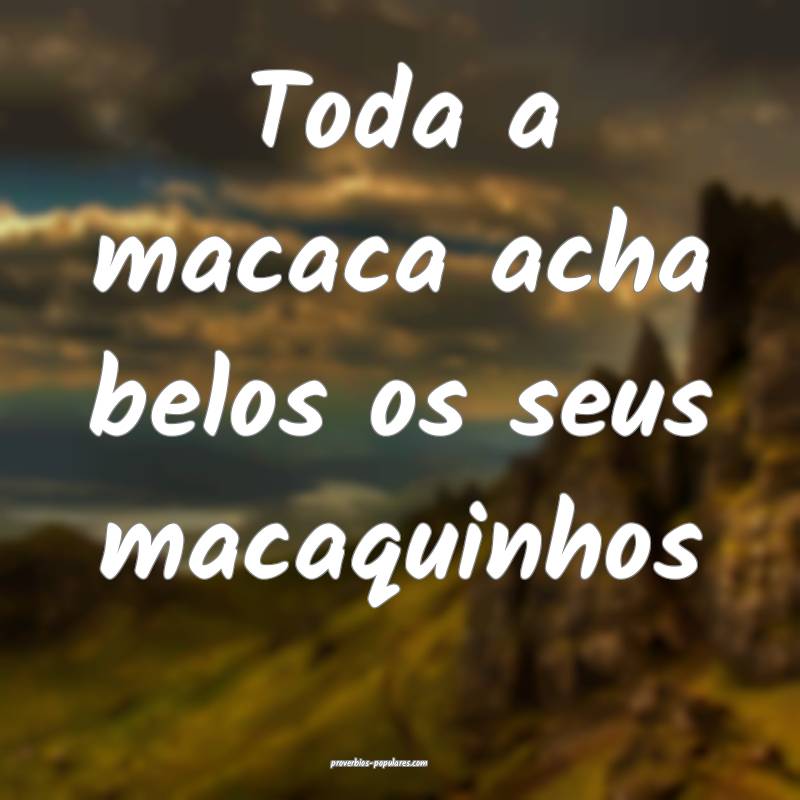 Toda a macaca acha belos os seus macaquinhos ...