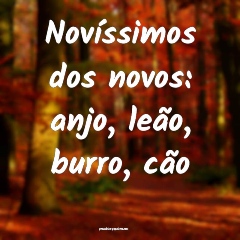 Novíssimos dos novos: anjo, leão, burro, cão ...