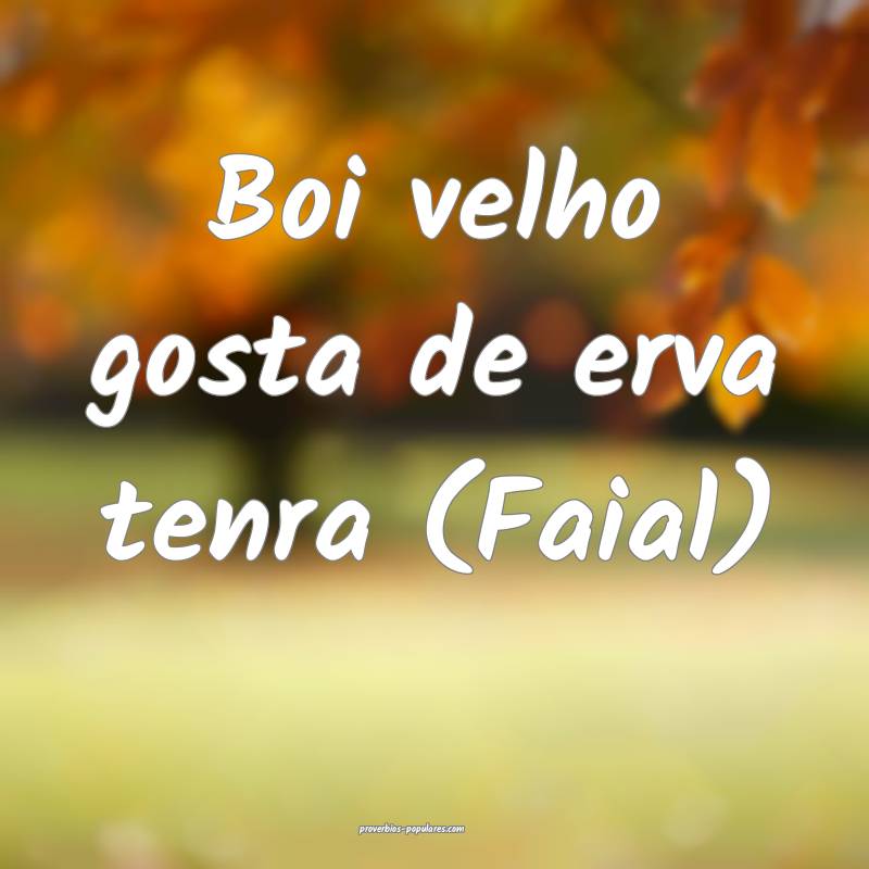 Boi velho gosta de erva tenra (Faial) 
...