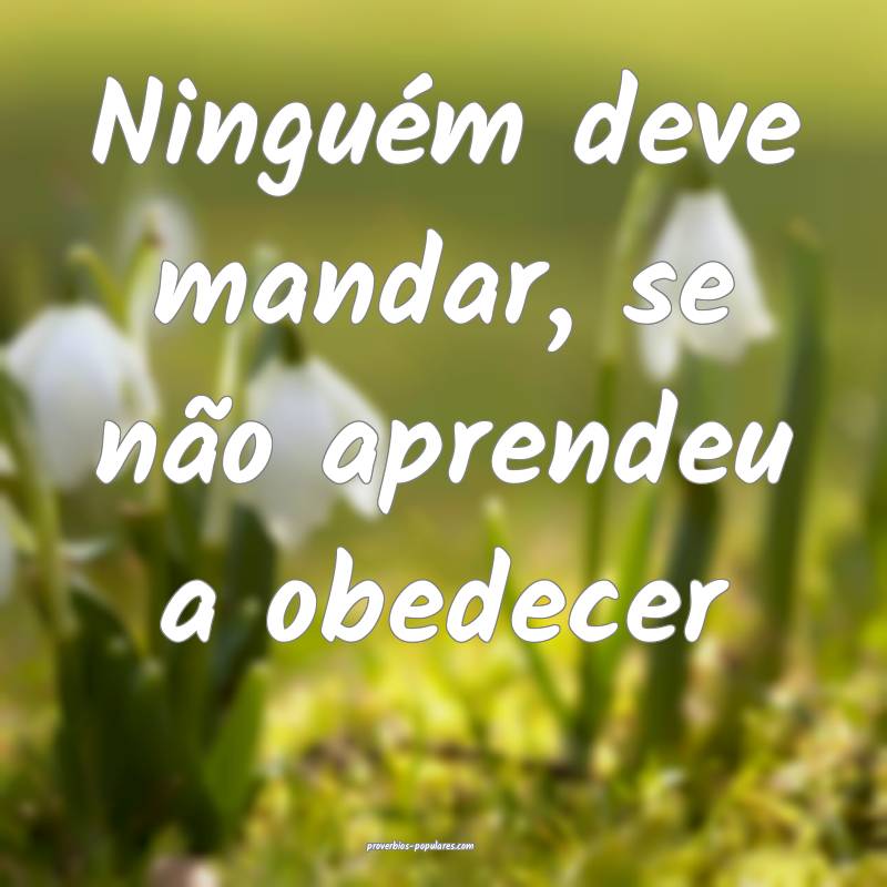 Ninguém deve mandar, se não aprendeu a obedecer...