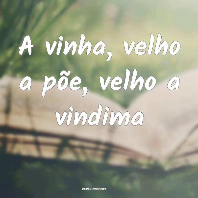 A vinha, velho a põe, velho a vindima ...