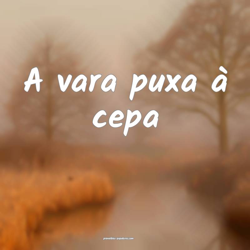 A vara puxa à cepa...
