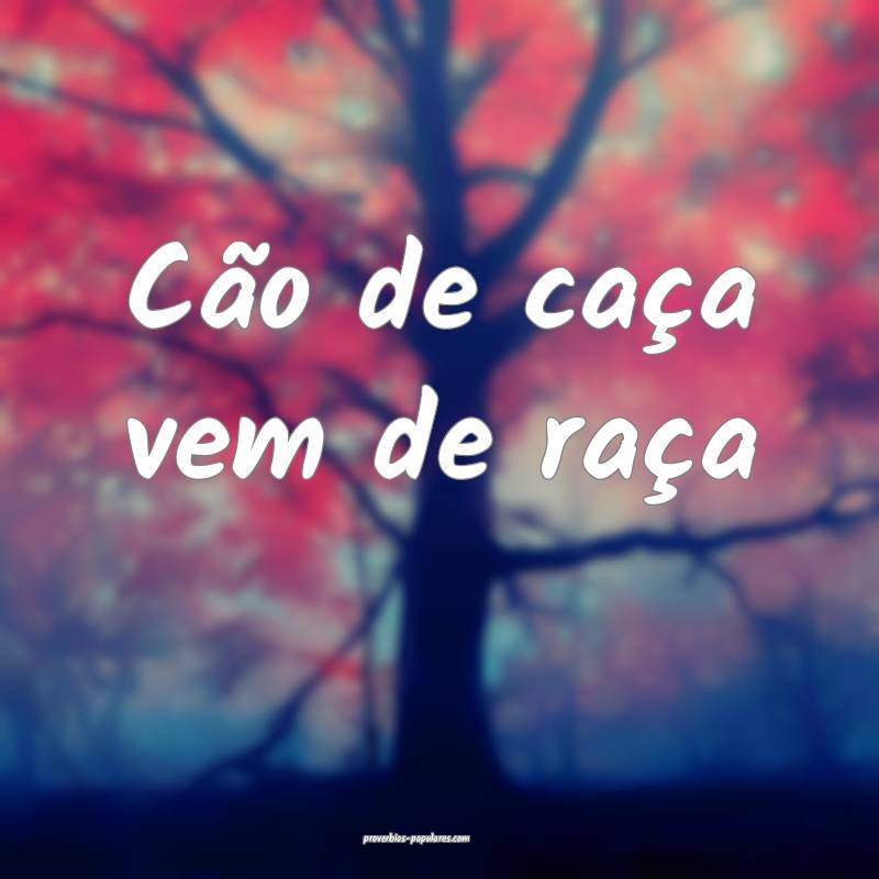 Cão de caça vem de raça 
...