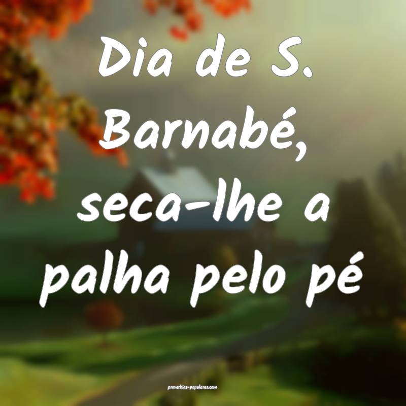 Dia de S. Barnabé, seca-lhe a palha pelo pé...