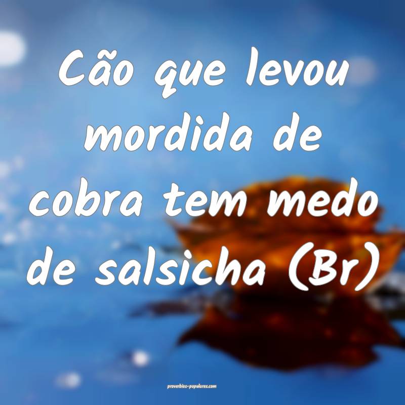 Cão que levou mordida de cobra tem medo de salsic ...