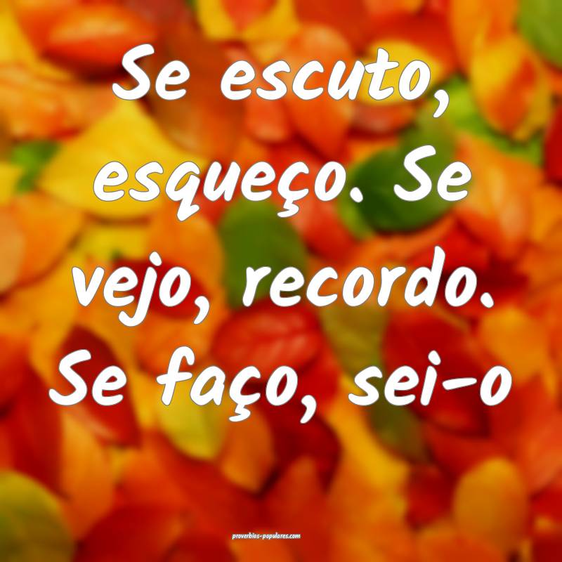 Se escuto, esqueço. Se vejo, recordo. Se faço, sei-o...