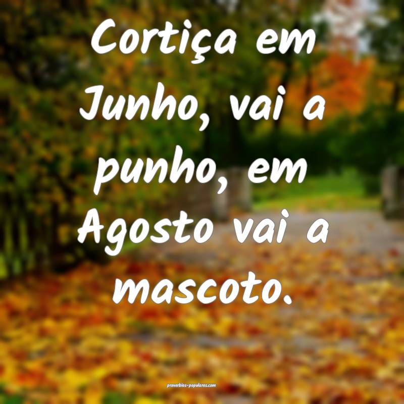 Cortiça em Junho, vai a punho, em Agosto vai a mascoto....
