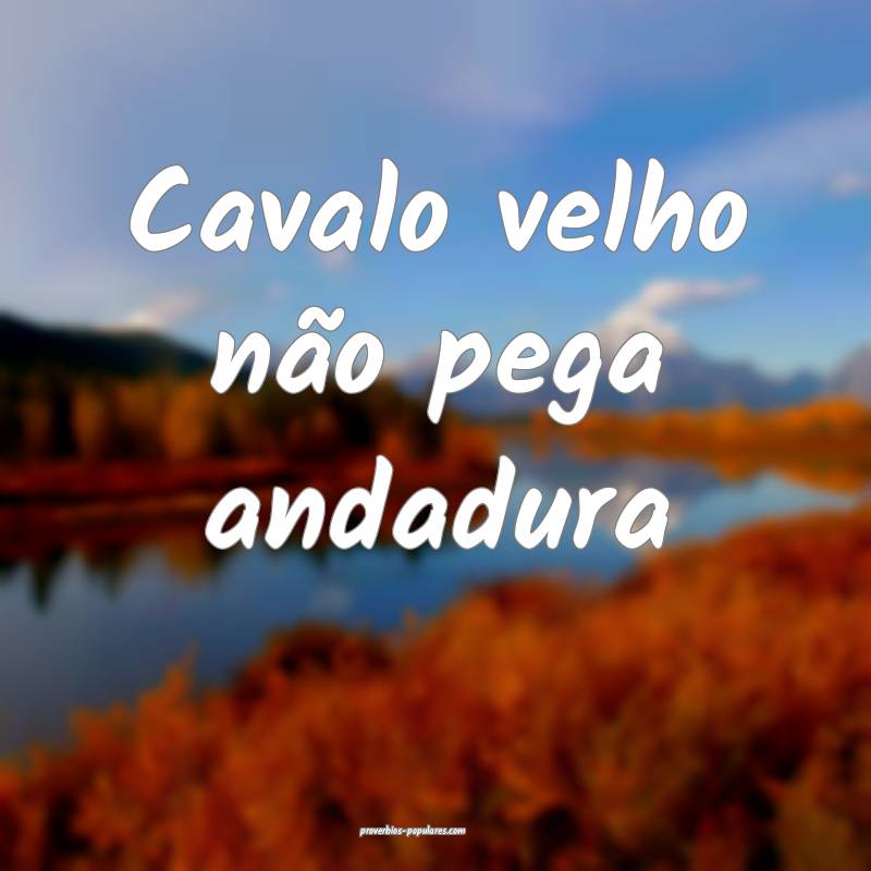 Cavalo velho não pega andadura 
...