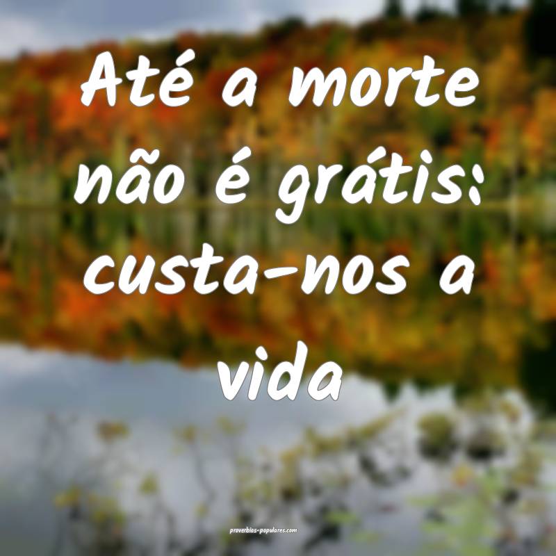 Até a morte não é grátis: custa-nos a vida ...