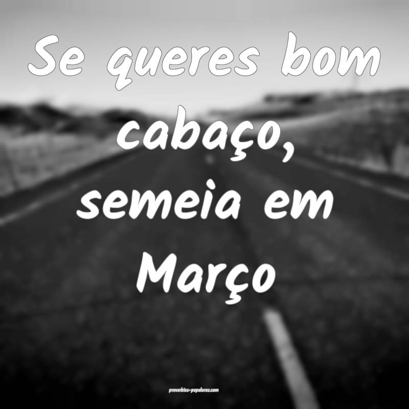 Se queres bom cabaço, semeia em Março...