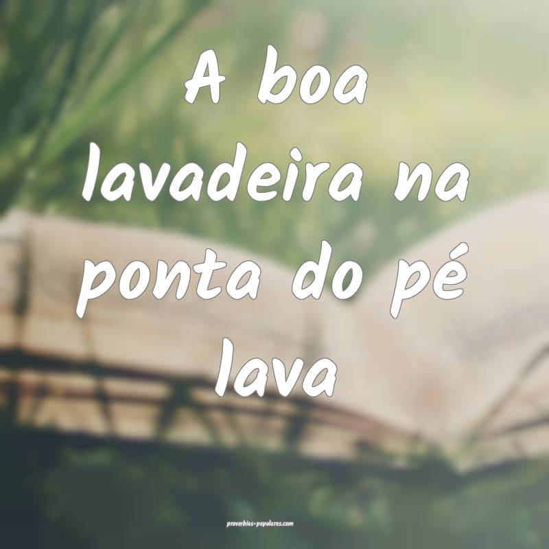 A boa lavadeira na ponta do pé lava...