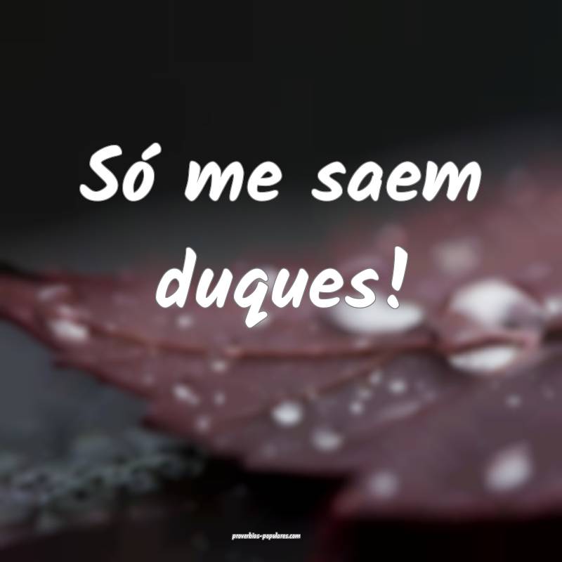 Só me saem duques! ...