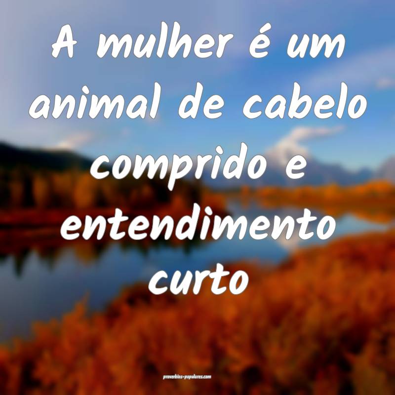 A mulher é um animal de cabelo comprido e entendi ...