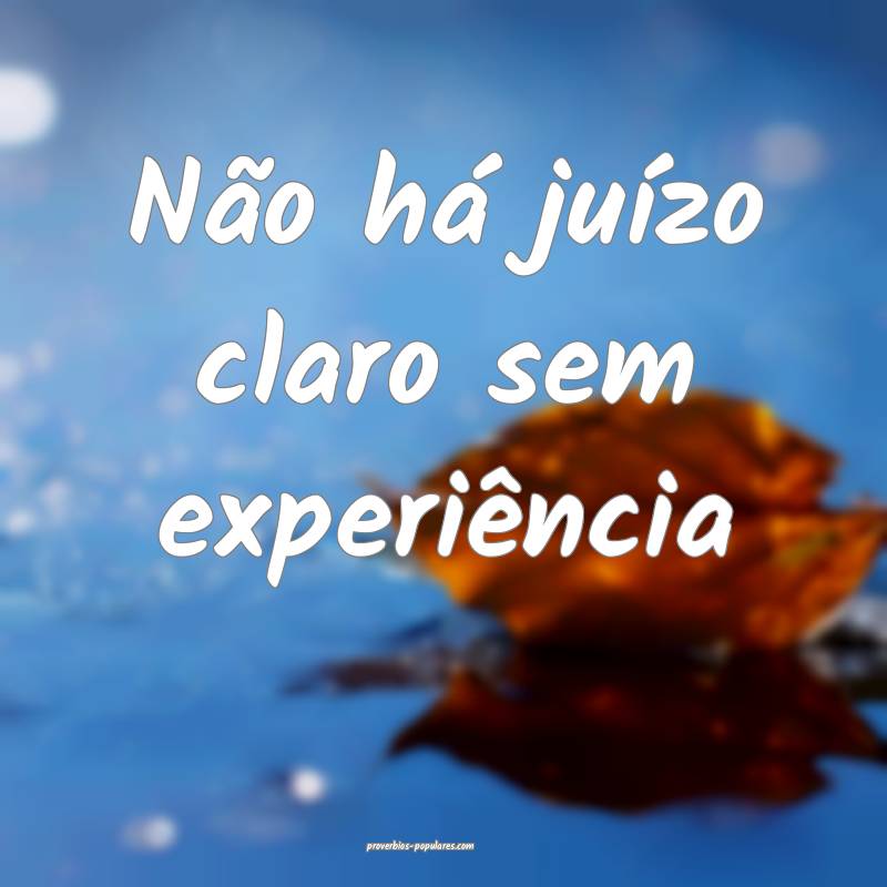 Não há juízo claro sem experiência ...