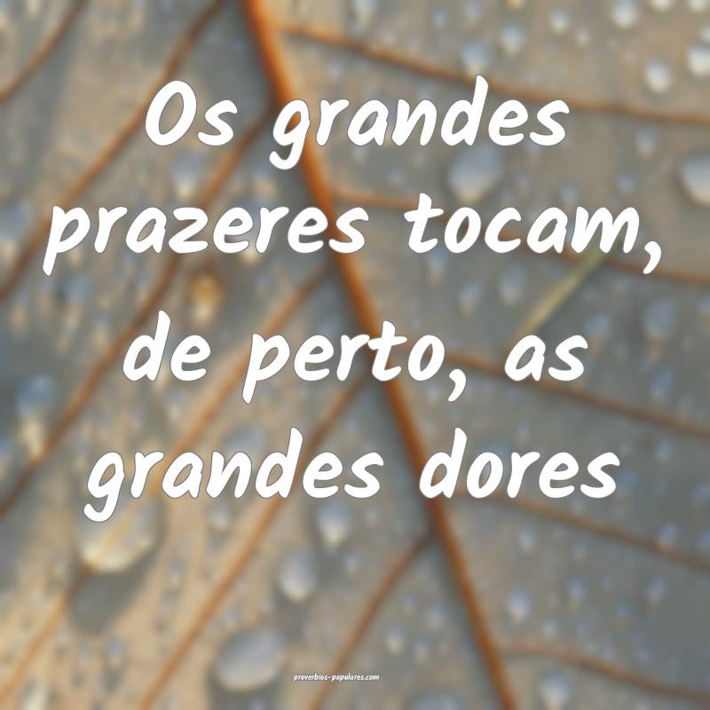 Os grandes prazeres tocam, de perto, as grandes dores...