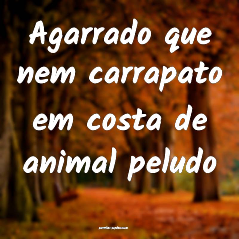 Agarrado que nem carrapato em costa de animal peludo...