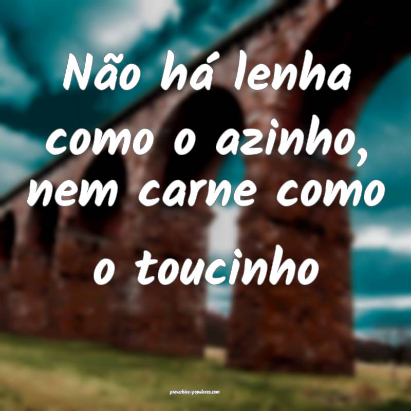 Não há lenha como o azinho, nem carne como o toucinho...