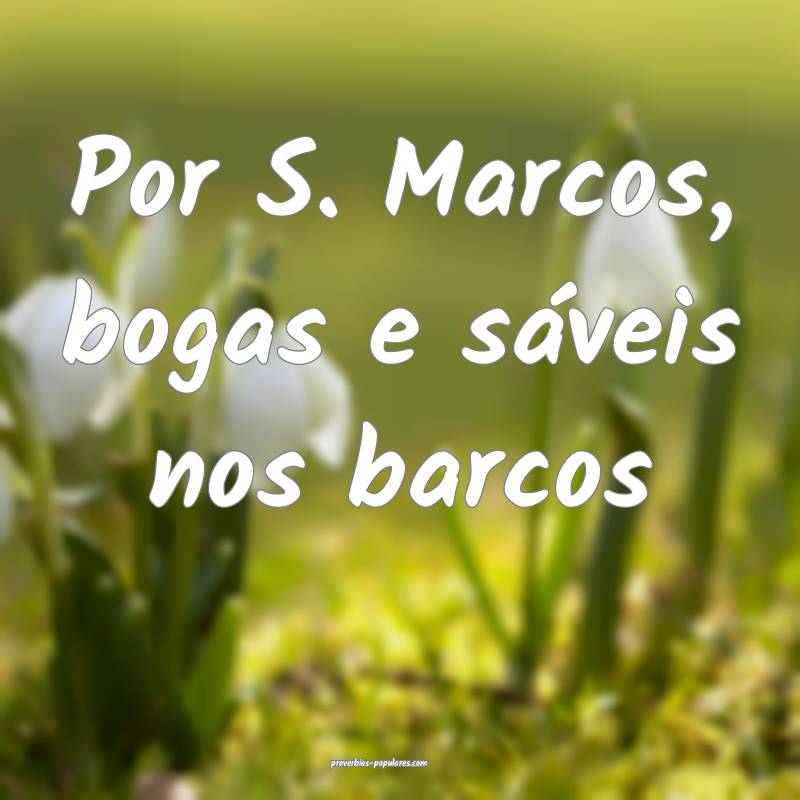 Por S. Marcos, bogas e sáveis nos barcos...