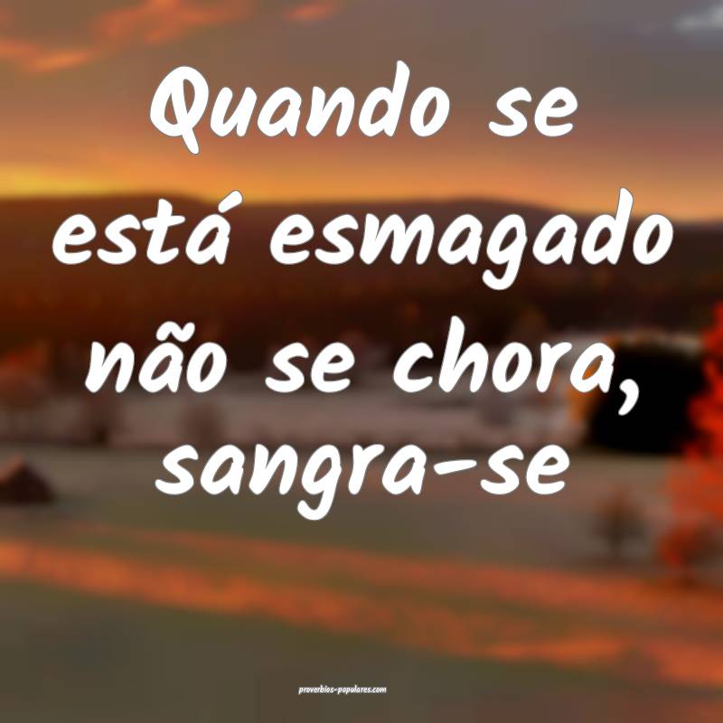 Quando se está esmagado não se chora, sangra-se...