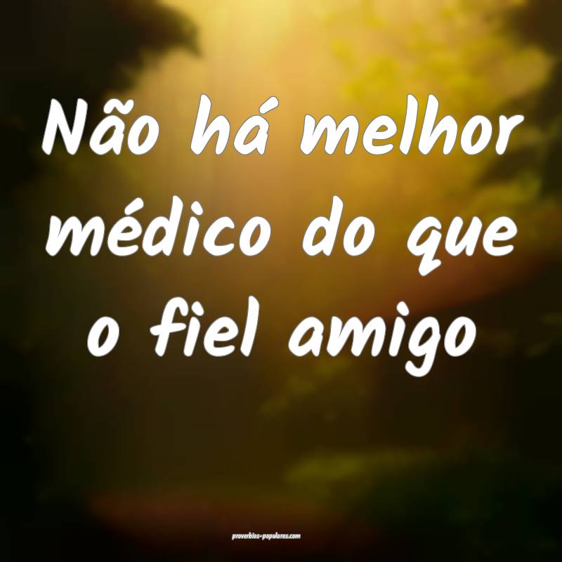 Não há melhor médico do que o fiel amigo...