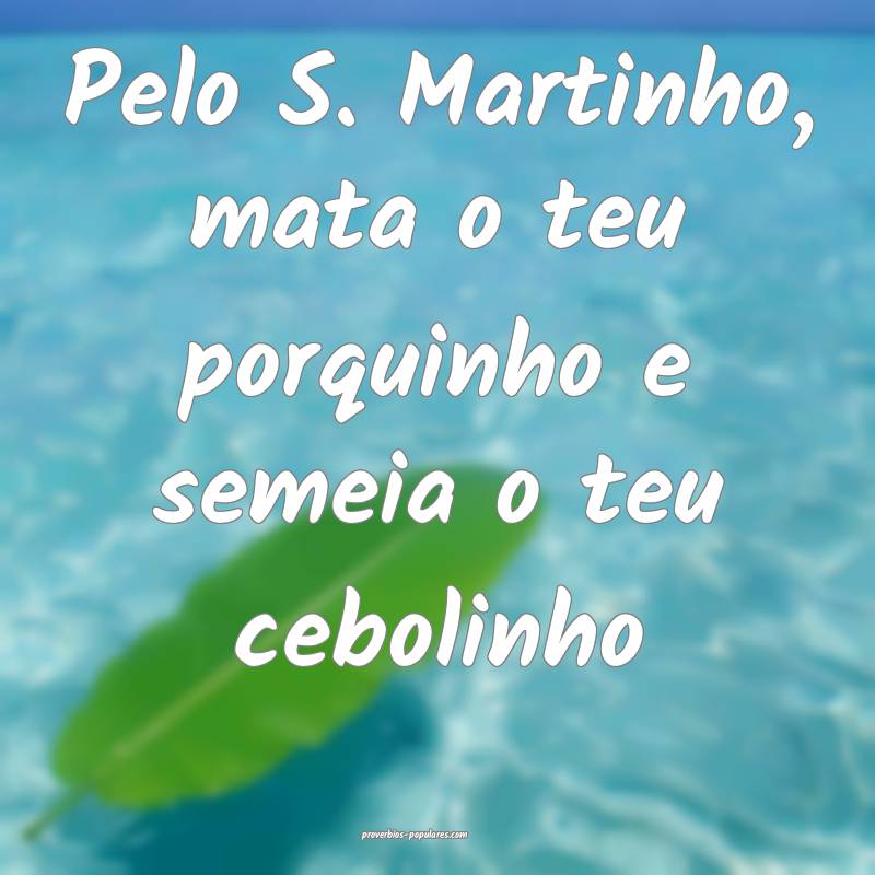 Pelo S. Martinho, mata o teu porquinho e semeia o teu cebolinho...