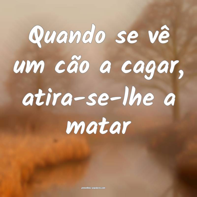 Quando se vê um cão a cagar, atira-se-lhe a matar...